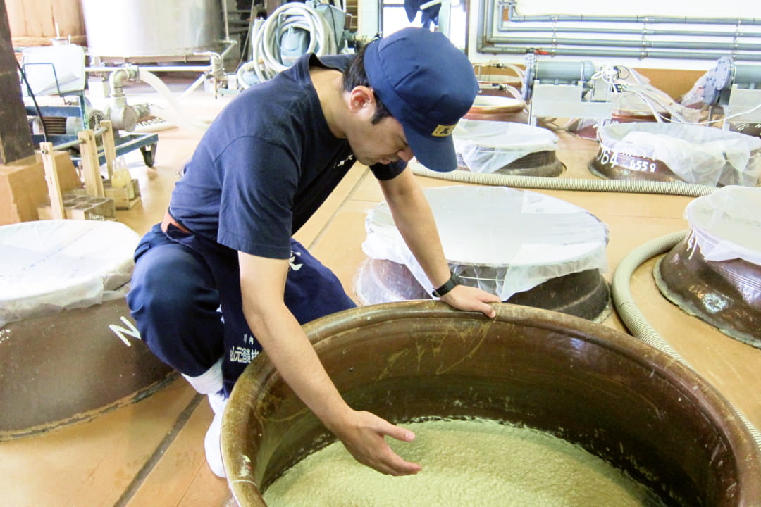 「もろみ取焼酎」と「粕取焼酎」