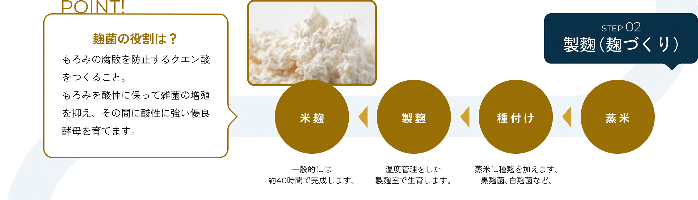 [STEP2]製麴（麹づくり）「蒸米」→「種付け」蒸米に種麹を加えます。黒麹菌、白麹菌など。→「製麴」温度管理をした製麹室で生育します。→「米麹」一般的には約40時間で完成します。／[POINT]「麹菌の役割は？」もろみの腐敗を防止するクエン酸をつくること。もろみを酸性に保って雑菌の増殖を抑え、その間に酸性に強い優良酵母を育てます。