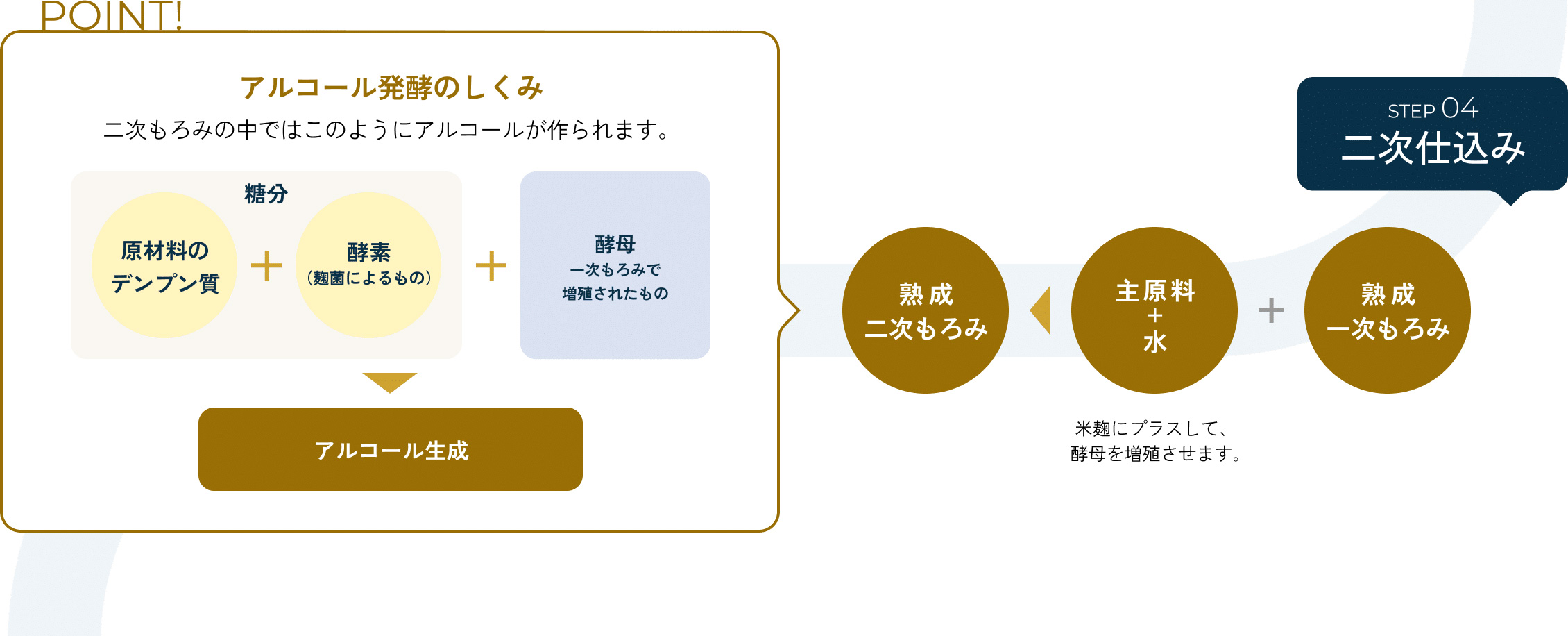 [STEP4]二次仕込み 「熟成一次もろみ」＋「主原料＋水」米麹にプラスして、酵母を増殖させます。→「熟成二次もろみ」／[POINT]「アルコール発酵のしくみ」二次もろみの中ではこのようにアルコールが作られます。【糖分：「原材料のデンプン質」＋「酵素（麹菌によるもの）」】＋【酵母（一次もろみで増殖されたもの）】→【アルコール生成】