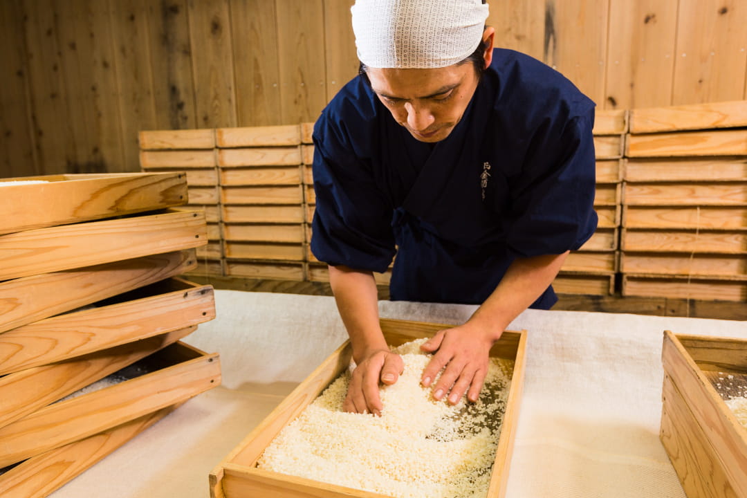 原材料による分類